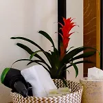 Boutique-hotel Antica Posta